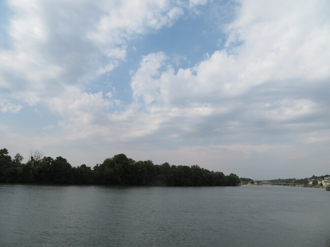 Randonnée sur les bords de Seine jusqu'à la forêt de Rougeau - 26 juillet 2019 (81 km)