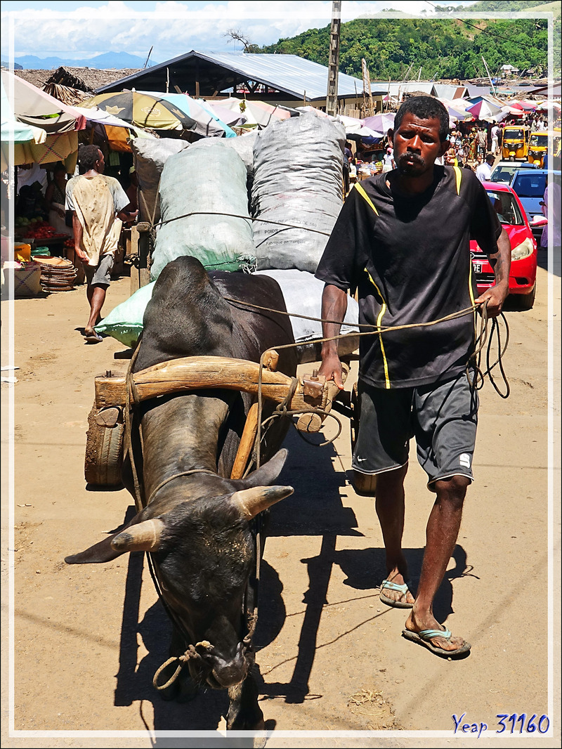 Dans les rues de Hellville : des marchands et des chalands - Nosy Be - Madagascar