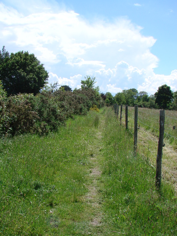 Le marais de Goulaine