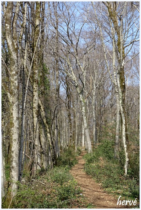 Forêt de Chailluz - Le fort de la Dame Blanche.