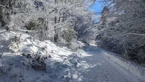 Peut être une image de nature, arbre, neige et route