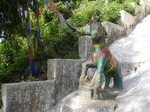 Svayambhunath - Statue animale