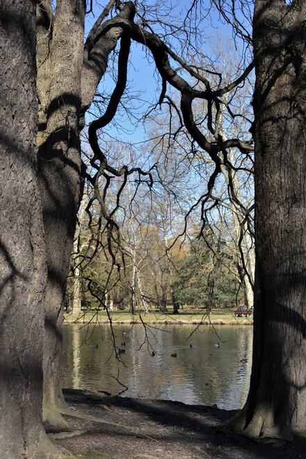 2019.02.14 Comme un avant goût de printemps !