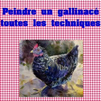 Dessin et peinture - vidéo 3232 : Comment peindre un gallinacé (coq et poule) ? Pastels et crayons pastels.