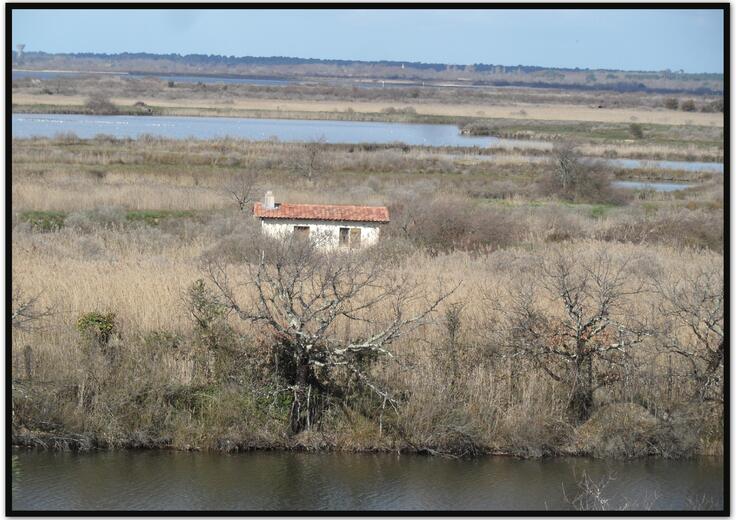 Arcachon : La réserve ornithologique du Teich - 7/7