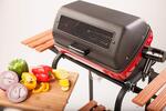 Brinkmann Portable Gas Grill - Buy Electric, Charcoal and Propane Grills At Best Prices