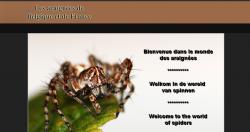 Mes sources/Liens utiles
