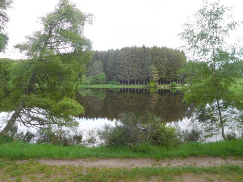 23.05.2018.le Bois de Moranges St Germain l'herm.Photos de Chantal