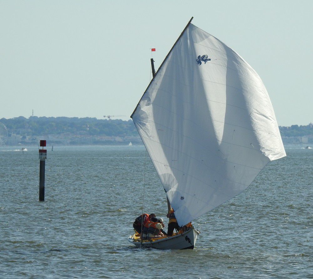 Voiles en liberté 2024 à Andernos - Virement de bord des pinassottes...