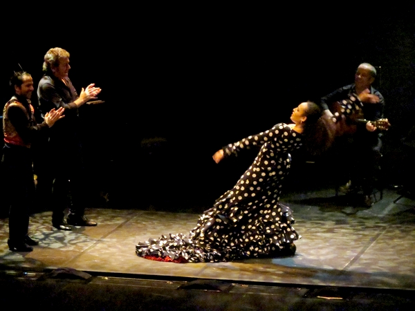 "Carmen Flamenco", un éblouissant spectacle de théâtre, de danse flamenco et de chant a enthousiasmé les spectateurs du Théâtre Gaston Bernard !