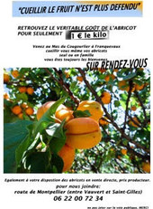 >8 JUIN Abricots Cougourlier