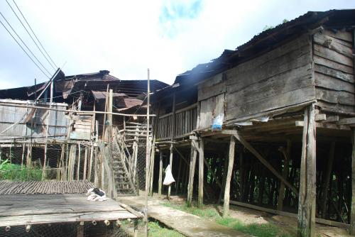 Mercredi 17 juillet Rendez-vous en terre inconnue chez les Iban