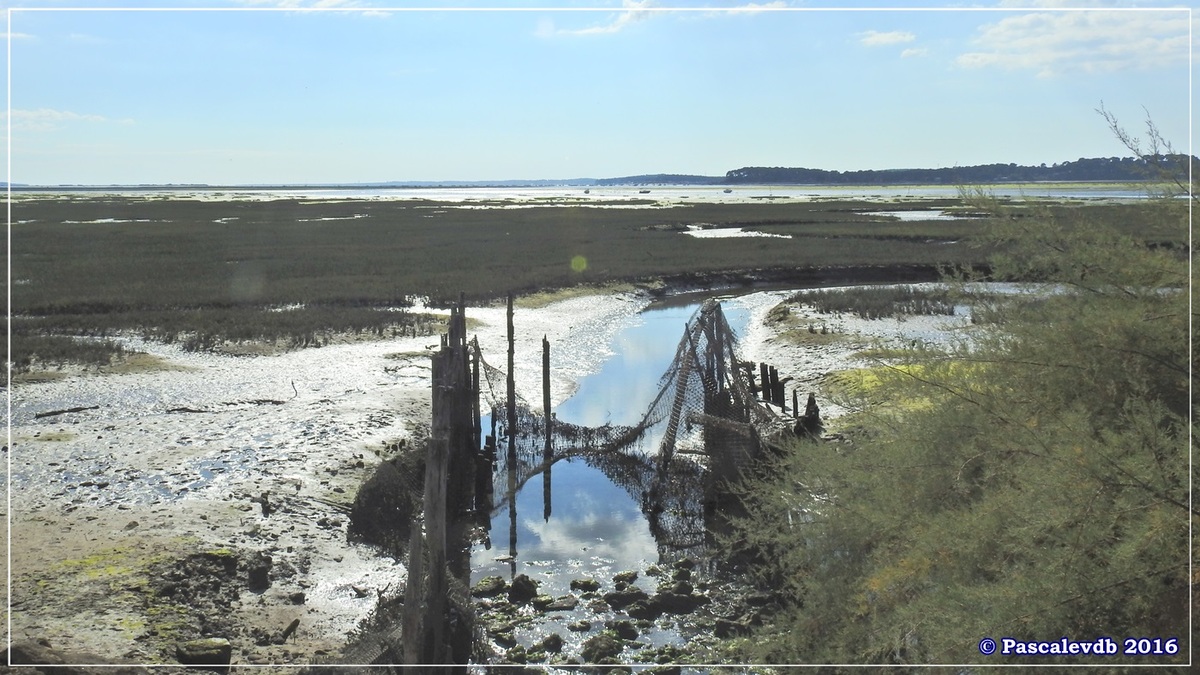 Arès : sa jetée, ses prés salés et son port ostréicole - Octobre 2016 - 2/11