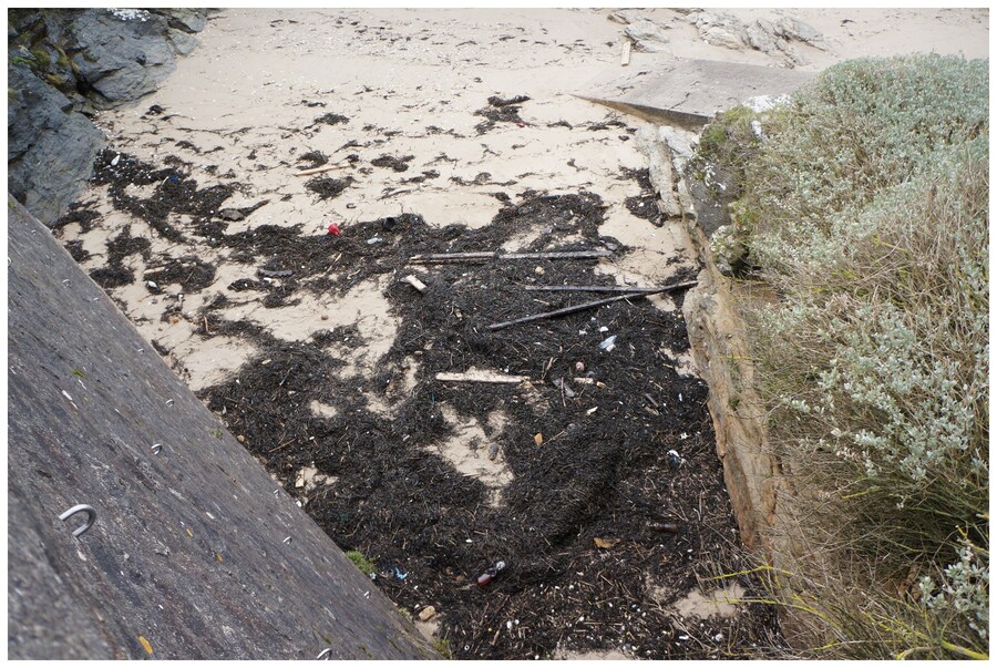 Pollution des plages suite aux tempêtes 2014