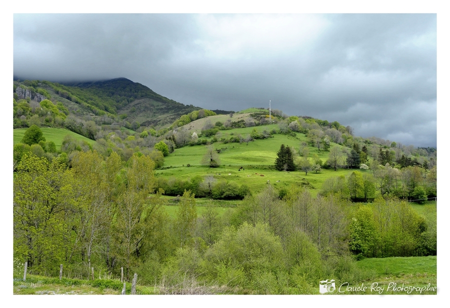 Mandailles - Cantal - Auvergne - 7/8 Mai 2015