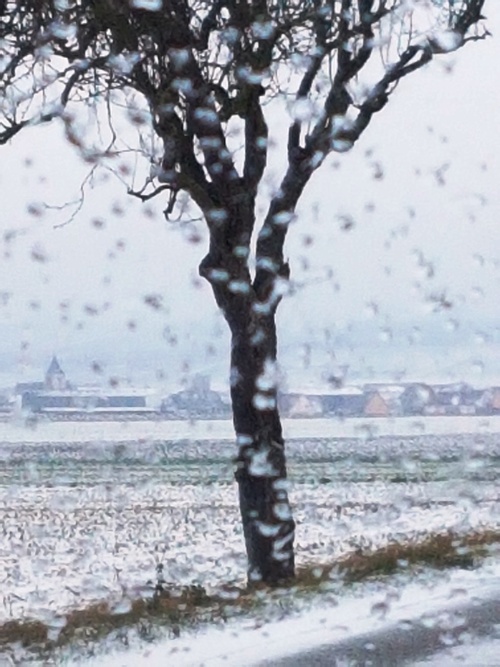 Neige dans le kochersberg