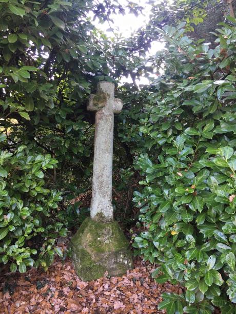 Peut être une image de arbre