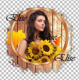 Soleils d'automne