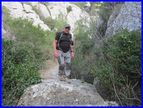 Le vallat des Brayes
