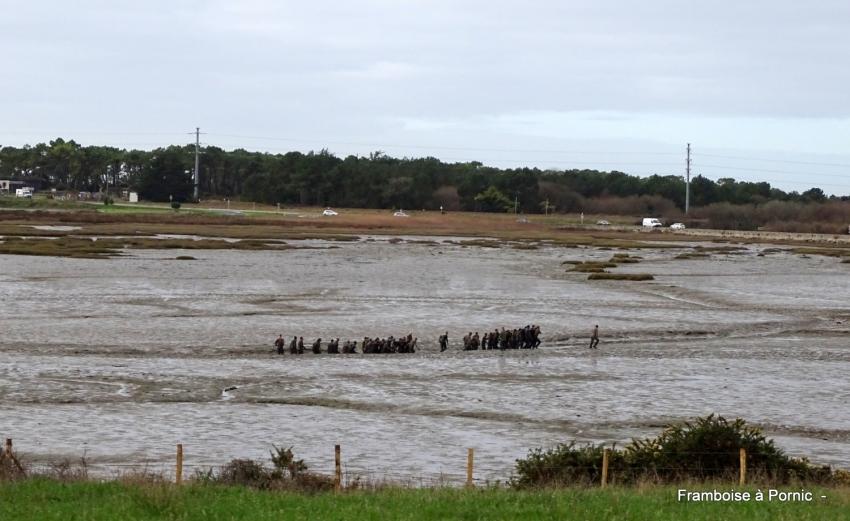 Presqu'île de Quiberon - Janvier 2022
