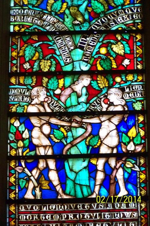 Carcassonne (Aude) : ville basse et basilique de la cité médiévale