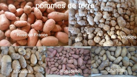 Vertus médicinales des légumes et des fruits : POMME DE TERRE