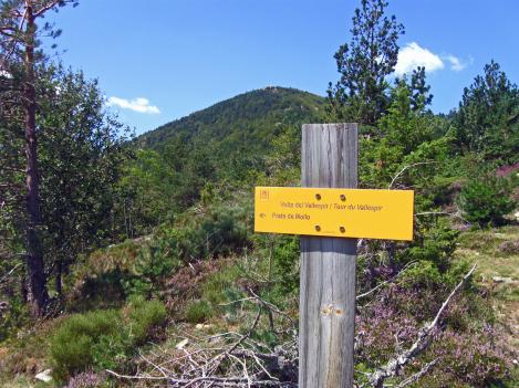 Sur les hauteurs d'une vallée âpre - Le Tour du Vallespir - Etape 3 : Saint-Guillem - Prats-de-Mollo  15 kms.