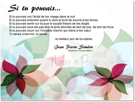 Si_tu_pouvais...