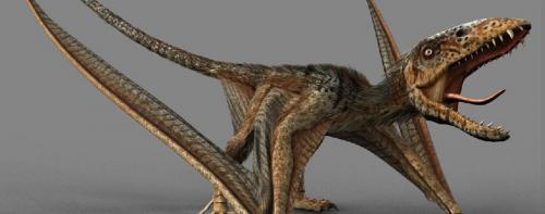 Les dinosaures volants