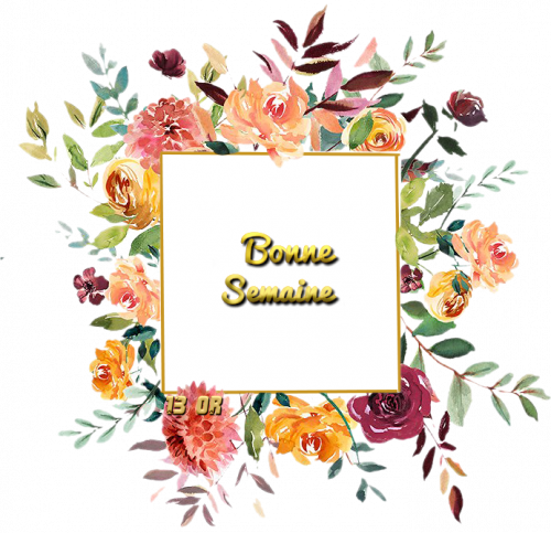 les mots fleuris 