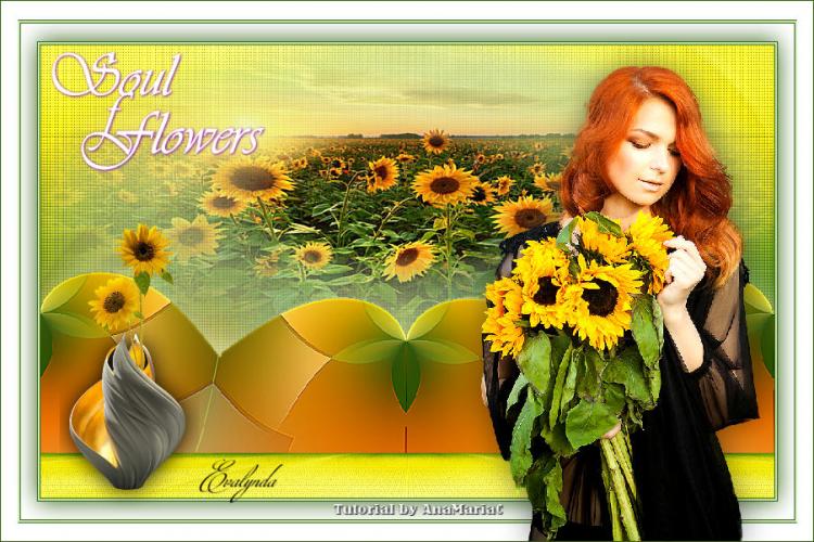 Soul of Flowers