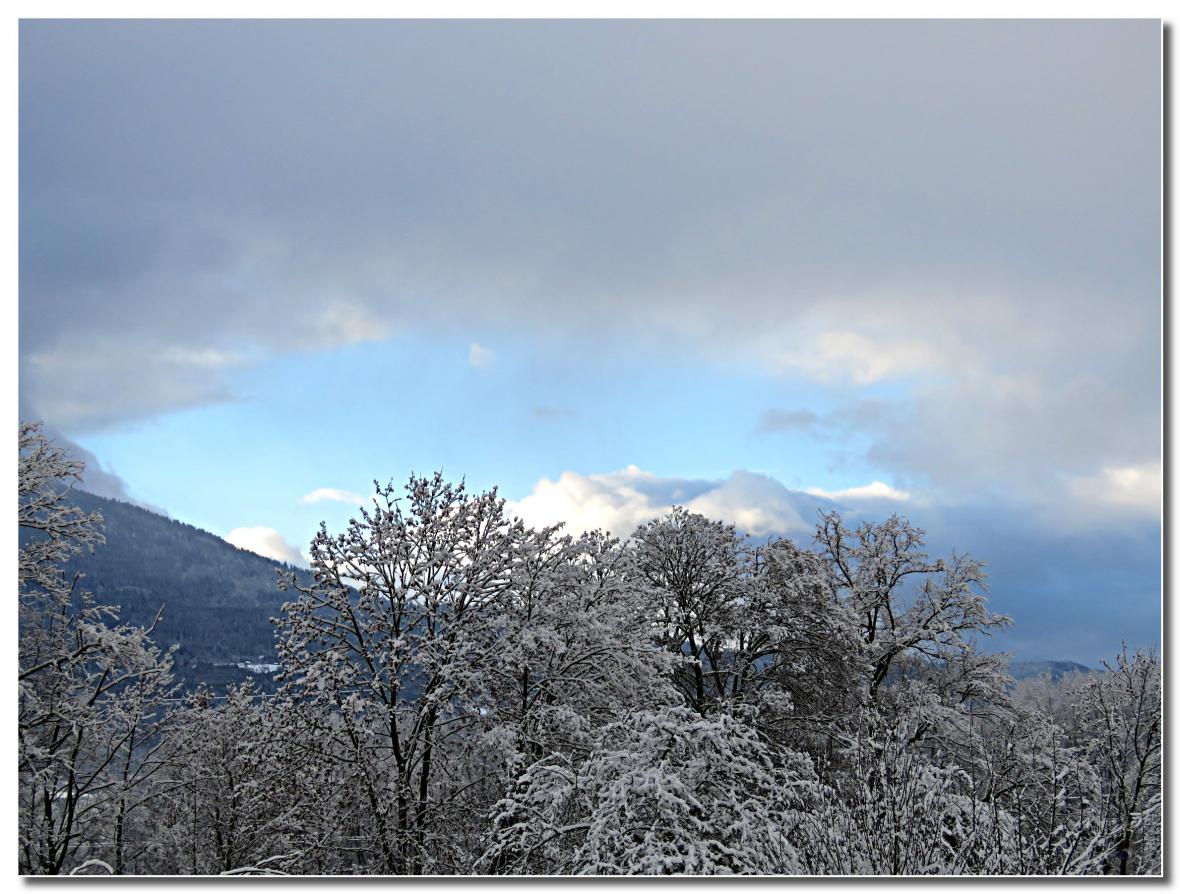  PAYSAGE  DE  JANVIER  2021