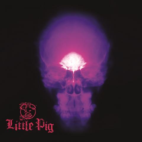 LITTLE PIG - Les détails du premier album ; "Cameo" Lyric Video