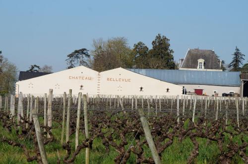 Saint Aubin de Luigné (fin du circuit)