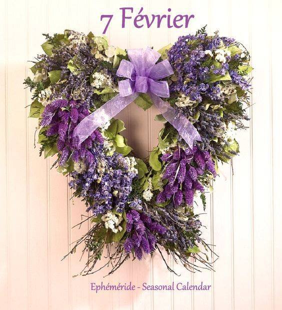 BON MARDI 7 FEVRIER...