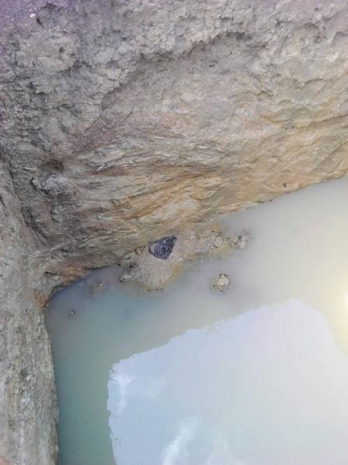 Des images fraiches de Pagala