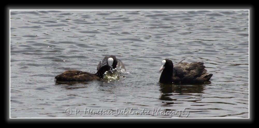 Famille Foulques en balade...