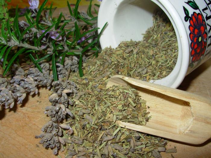 Plantes aromatiques  1ère partie