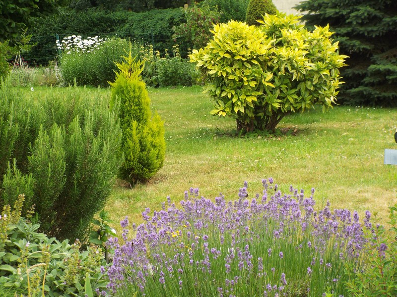 "Du côté jardin" pour ... une pause .