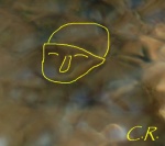 Rubrique Photos exceptinnelles d'Emanants : Les EMANANTS DES ETRES DE LA NATURE