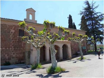 (J41) Azofra / Navarette 15 mai 2012