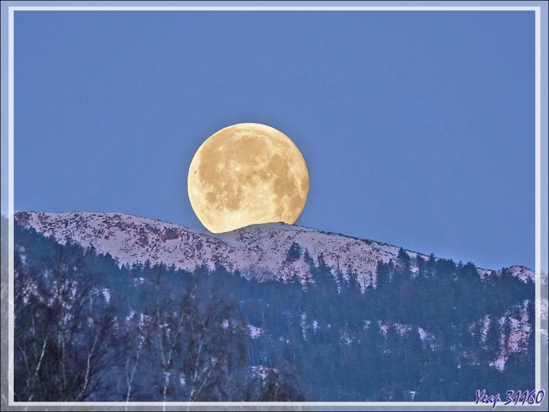 07/04/2023 : coucher de Lune sur le Massif du Gar enneigé vu au lever du jour depuis Lartigau - Milhas - 31