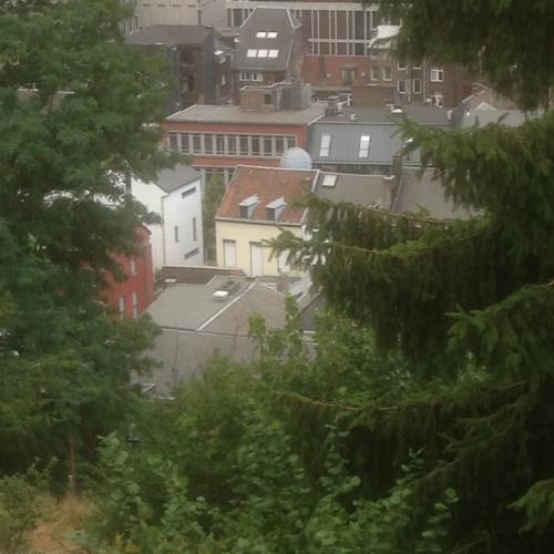 Temple Antoiniste de Liège, vue de dos (depuis la Montagne de Bueren)