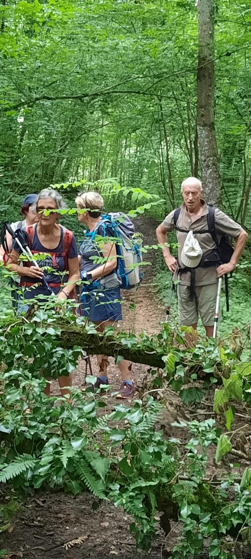 "Les Anis" Partie 2 - Samedi 13 juillet 2024