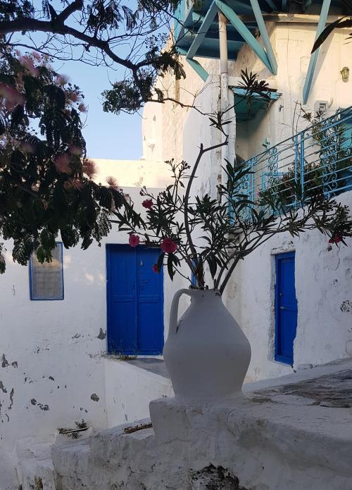 ASTY, encore et toujours !