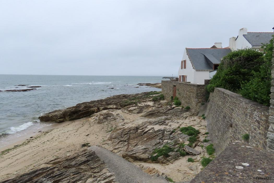 la pointe du Castelli - Piriac sur mer -2
