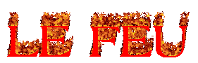Le feu