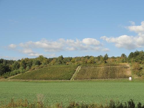 -Le Château de Mauvilly