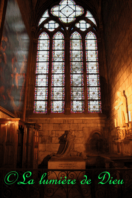 La cathédrale Notre-Dame de Paris