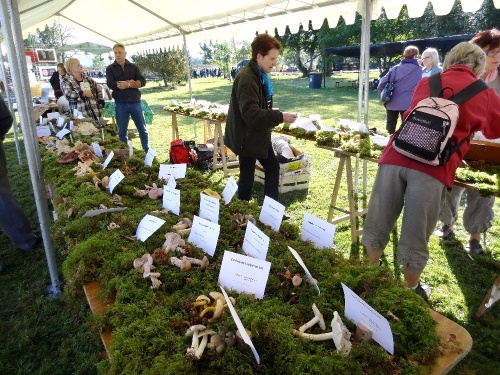 La fête de l'automne 2012 a eu lieu dimanche 30 septembre ...